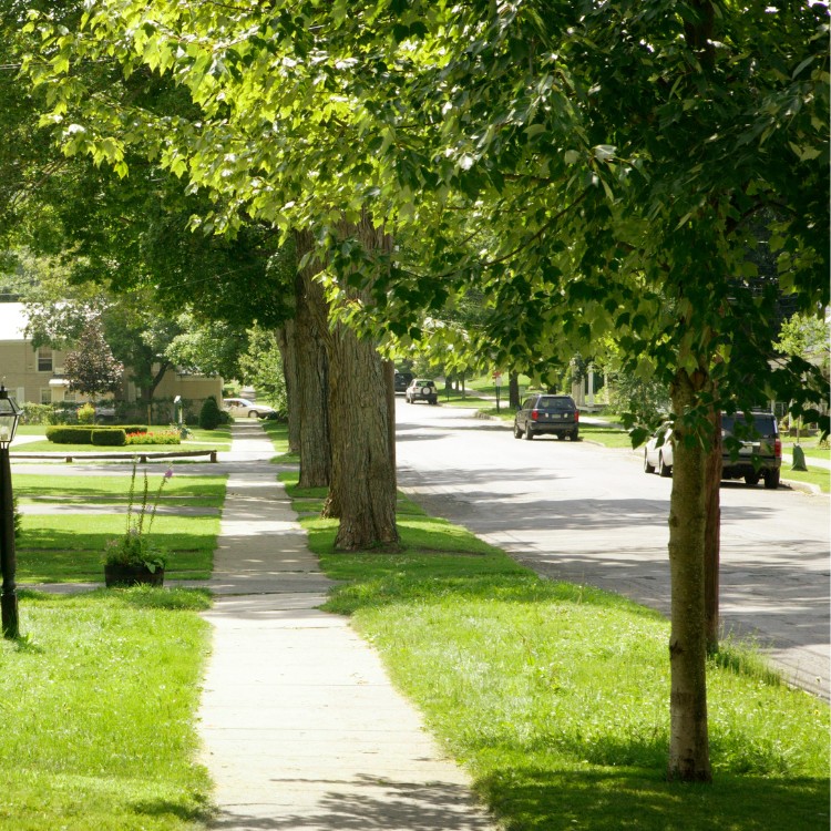 Tree care and landscaping in Fort Washington, MD