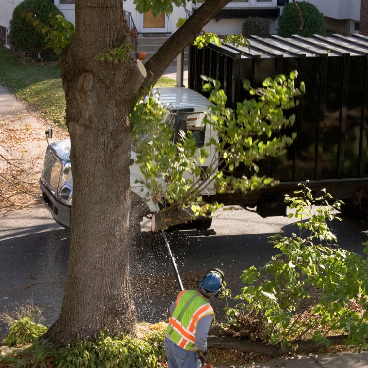 Tree care and landscaping in Fort Washington, MD